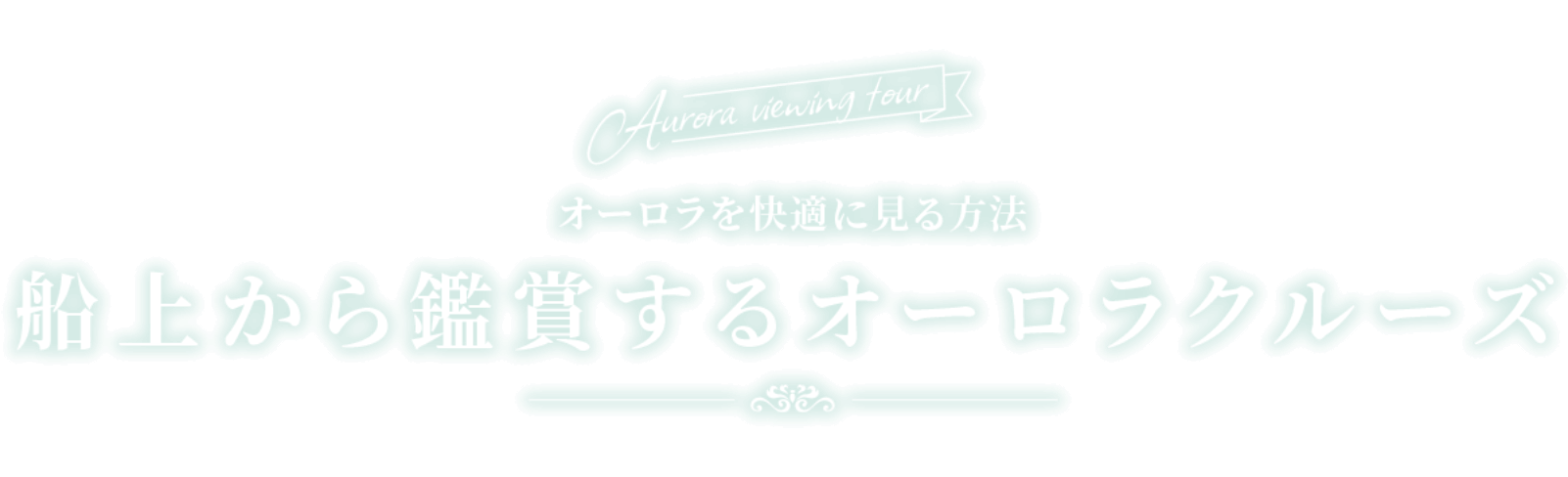 オーロラを快適に見る方法 船上から鑑賞するオーロラクルーズ